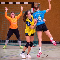 wJB-53 20191026 P1184257