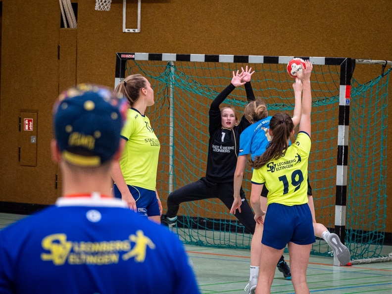 wJB1-49_20191026_P1194667.jpg