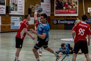 HP 22.02.2020 M1 Vfl Pfullingen 2-19