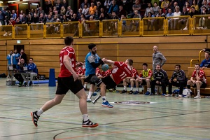 HP 22.02.2020 M1 Vfl Pfullingen 2-26