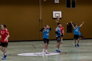 HP 22.02.2020 M1 Vfl Pfullingen 2-27
