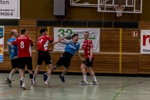 HP 22.02.2020 M1 Vfl Pfullingen 2-33