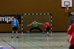 HP 22.02.2020 M1 Vfl Pfullingen 2-41
