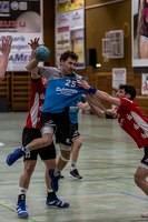 HP 22.02.2020 M1 Vfl Pfullingen 2-52