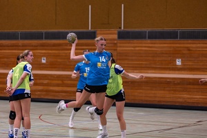 wA1 VFL Nagold 21.09.2024 HP-46