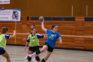 wA1 VFL Nagold 21.09.2024 HP-48