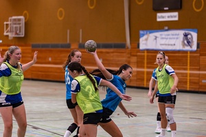 wA1 VFL Nagold 21.09.2024 HP-50