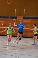 wA1 VFL Nagold 21.09.2024 HP-57