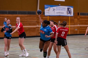 wB VFL Pfullingen 05.10.2024 HP-5