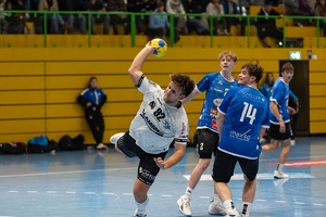 M1 VFL Pfullingen 07.12.2024 HP-47