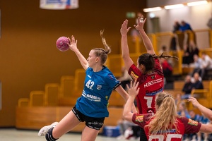 F1 gegen HSG Hossingen-Meßstetten 02.11.25 HP-35