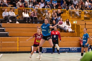 F1 gegen HSG Hossingen-Meßstetten 02.11.25 HP-45