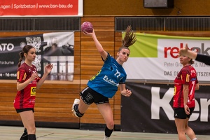 F1 gegen HSG Hossingen-Meßstetten 02.11.25 HP-48